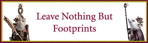 Leave Nothing But Footprints